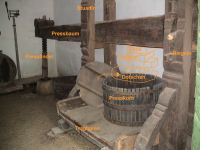 Weinpresse II